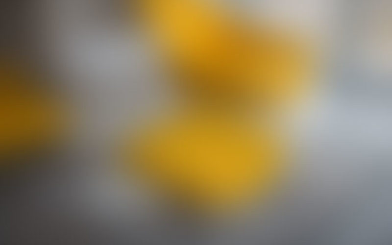 Sumo singulis ne eam